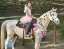 2026 ahasfv image115