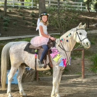 2026 ahasfv image115