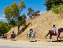 2026 ahasfv image2