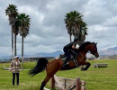 2026 ahasfv image26