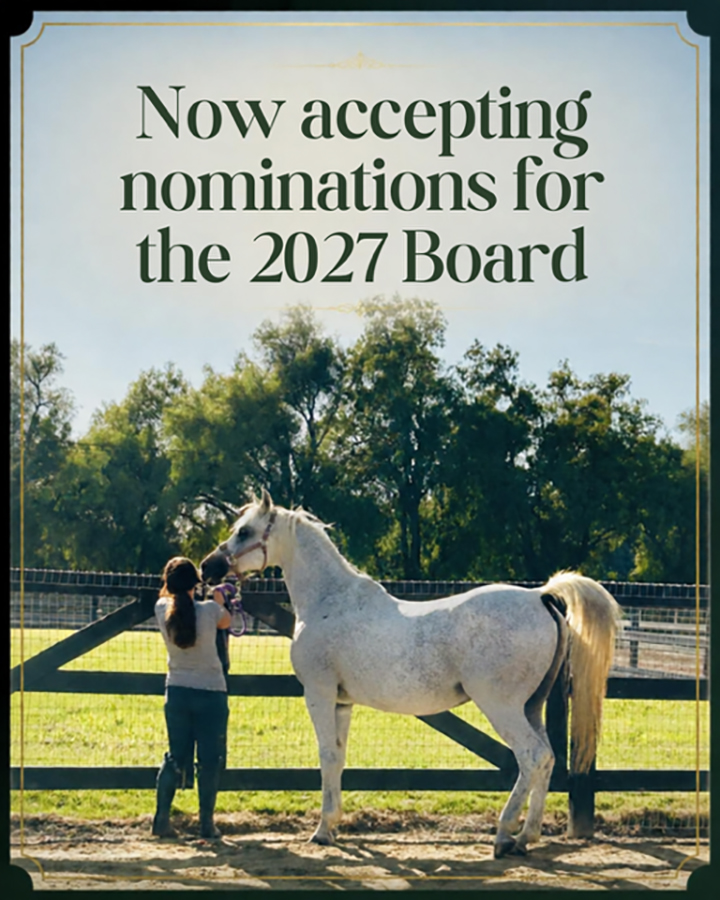 2027 ahasfv board nomination flyer