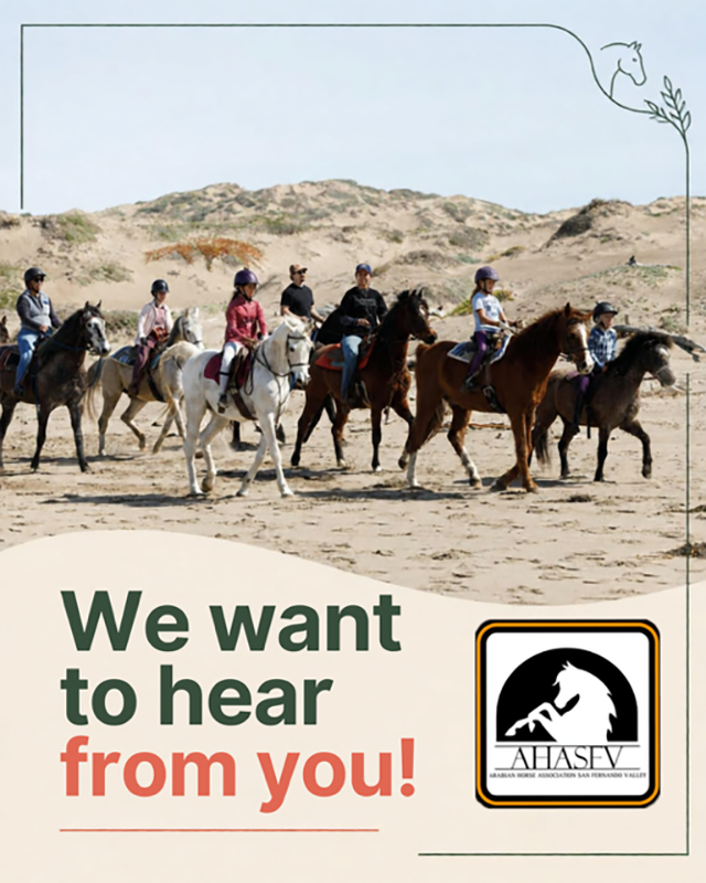 AHASFV we want to hear from you